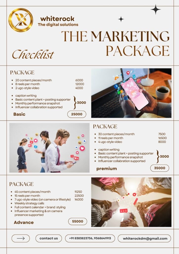 Digital Marketing Packages in Meerut